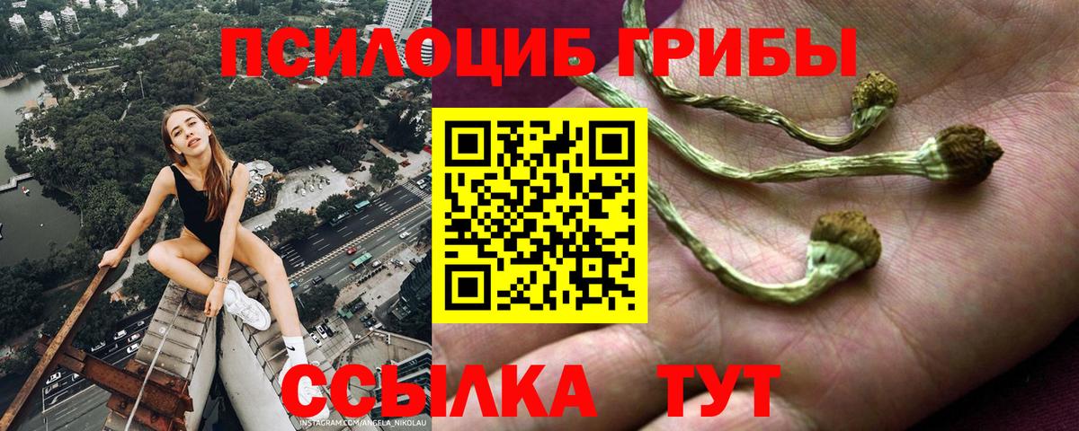 Псилоцибиновые грибы мухоморы  Галлюциногенные грибы Magic Shrooms  Ачинск  Вход с VPN 