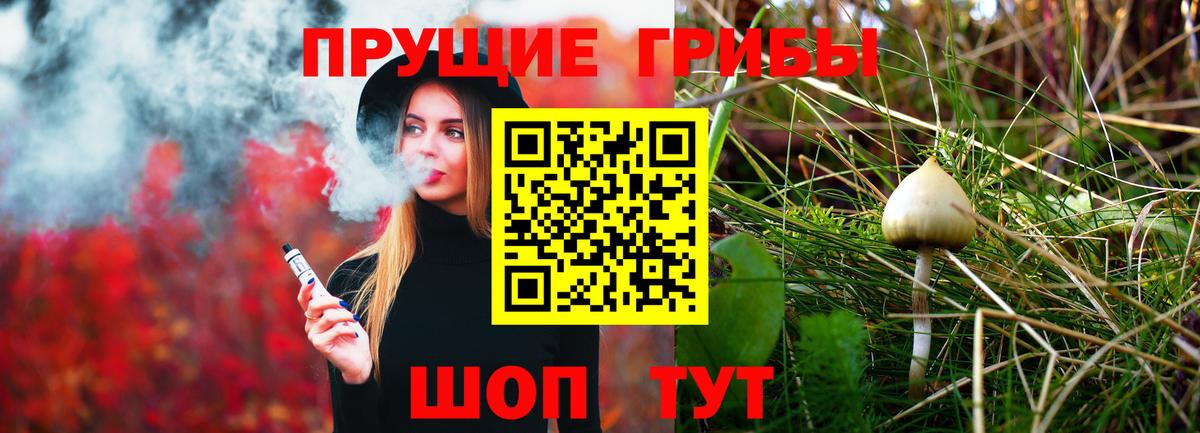 Галлюциногенные грибы Psilocybe Ачинск